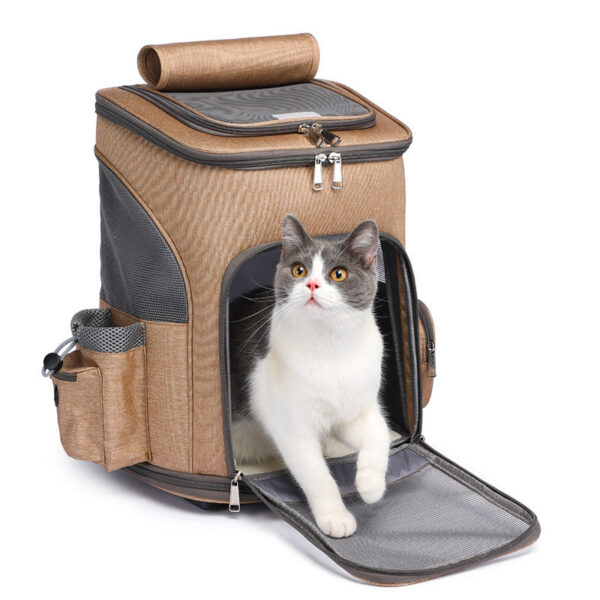 TravelPaws™ - Image 3